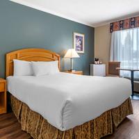 Econo Lodge Inn & Suites