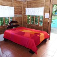 Selva Color - Forest & Beach Ecolodge